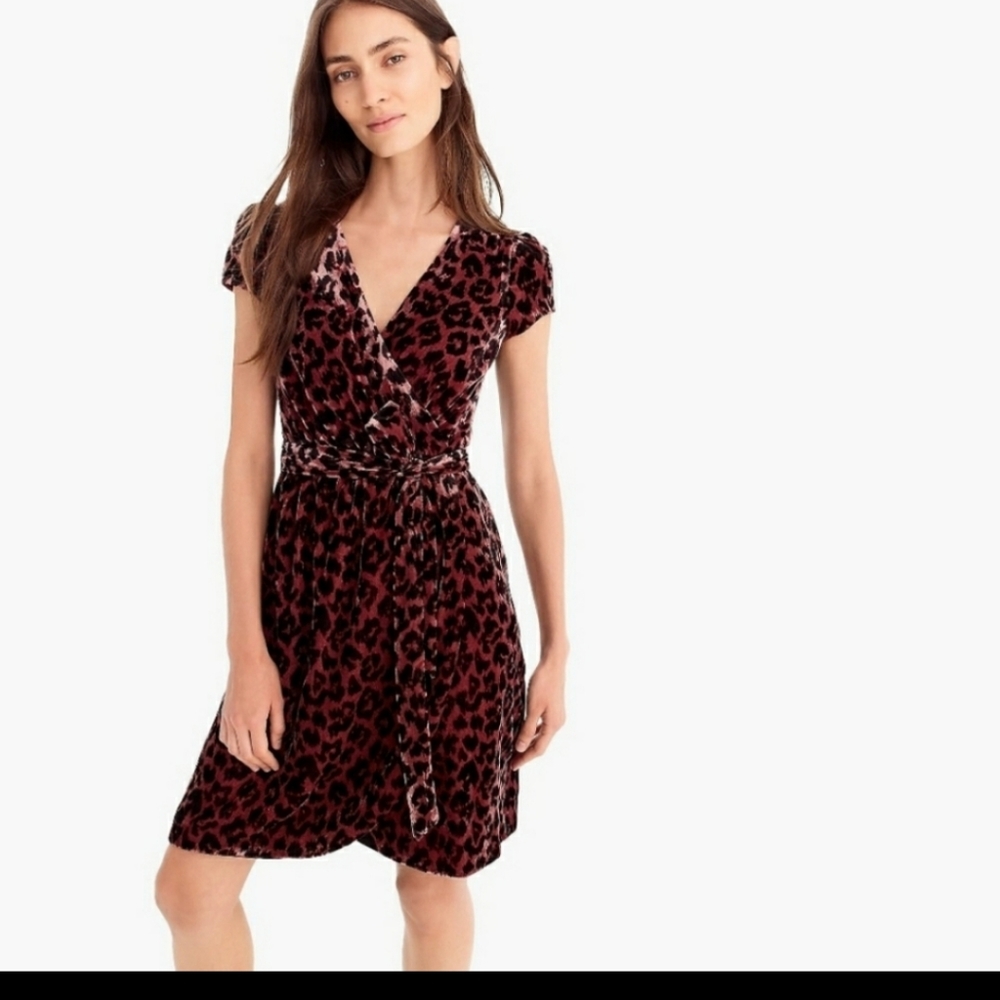 J Crew | Faux Wrap Drapey Velvet Rose Leopard Dres - Picture 3 of 6